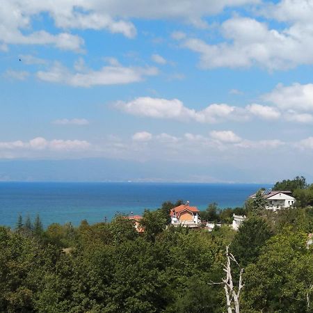 The Brothers Villa Hotel Охрид Екстер'єр фото