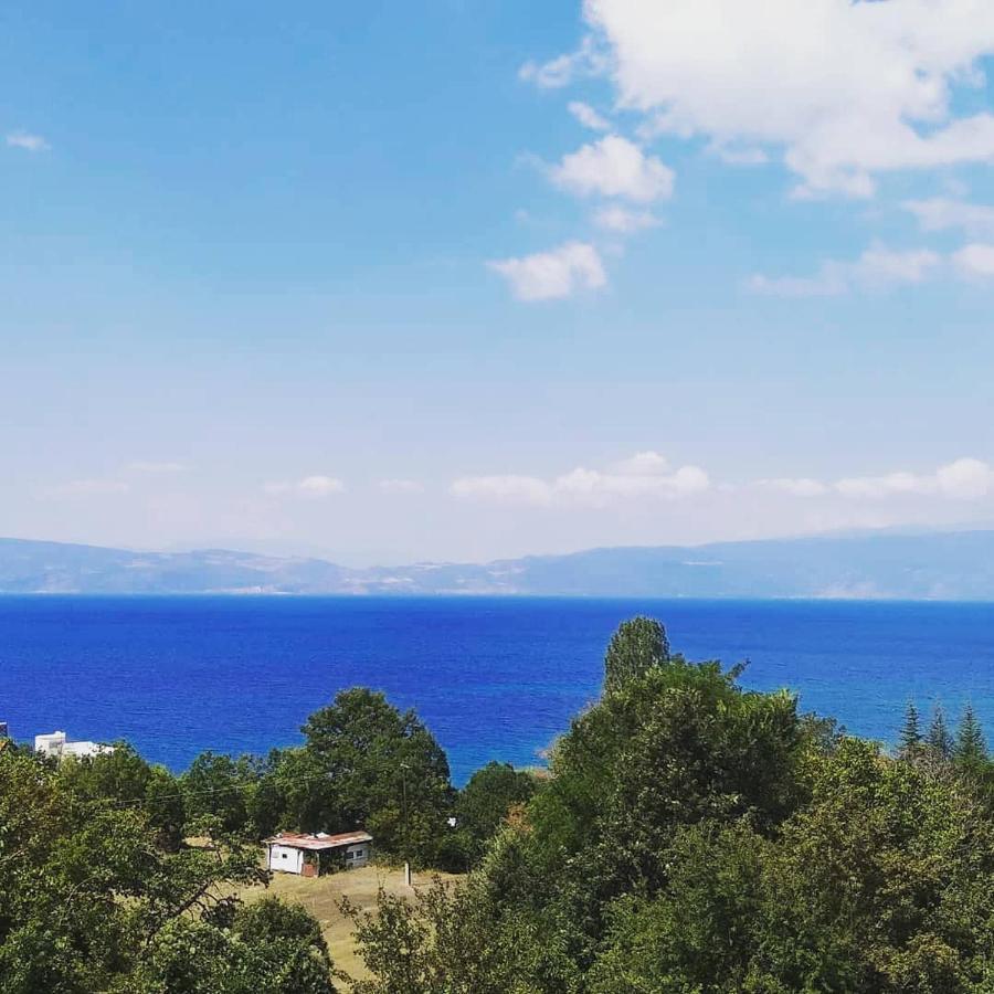 The Brothers Villa Hotel Охрид Екстер'єр фото