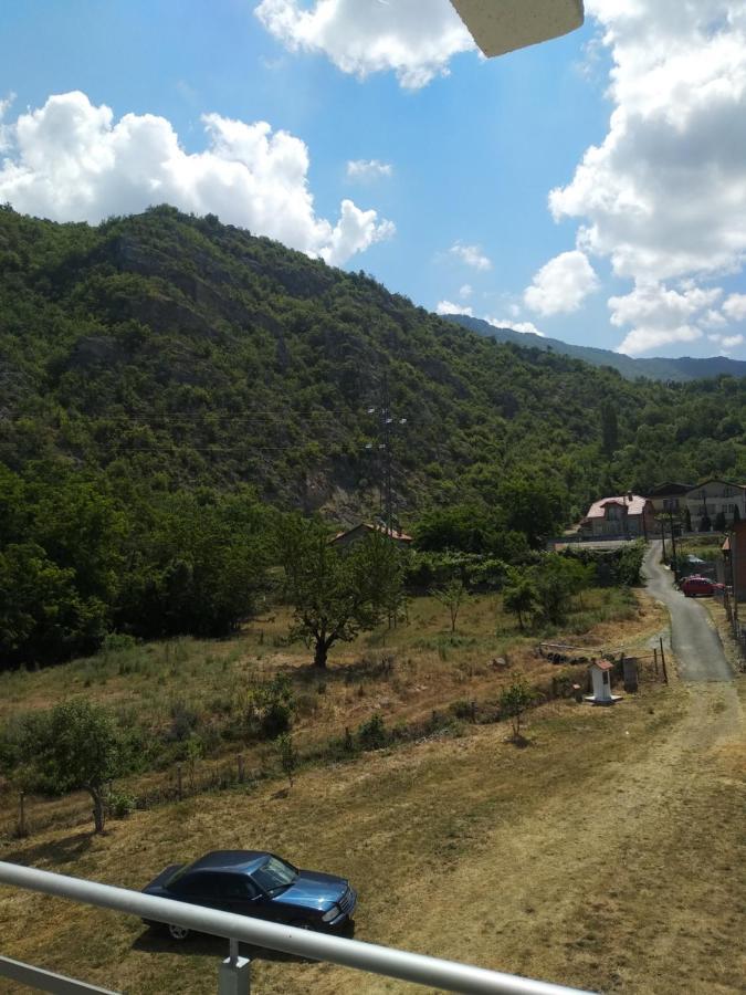 The Brothers Villa Hotel Охрид Екстер'єр фото