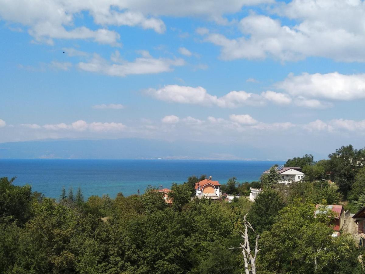 The Brothers Villa Hotel Охрид Екстер'єр фото