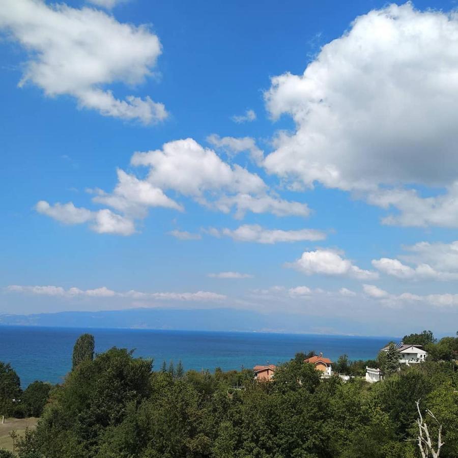 The Brothers Villa Hotel Охрид Екстер'єр фото